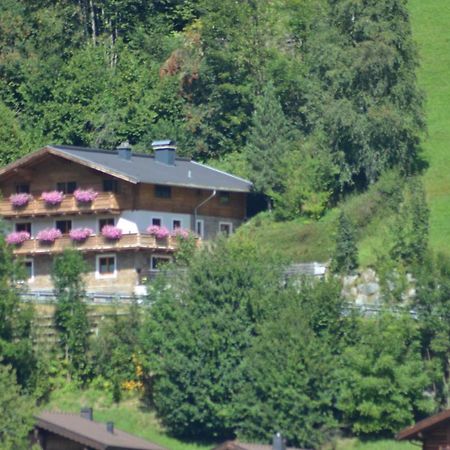 Ferienhaus Rieder Wald im Pinzgau Ngoại thất bức ảnh