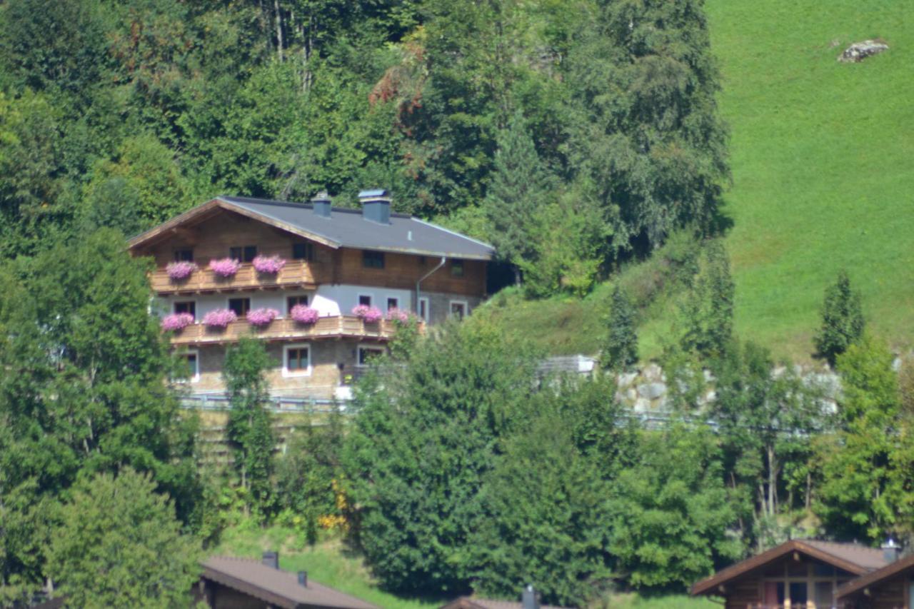 Ferienhaus Rieder Wald im Pinzgau Ngoại thất bức ảnh